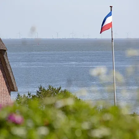 Mero Dom wakacyjny List